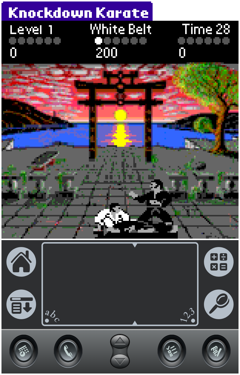 Knockdown Karate